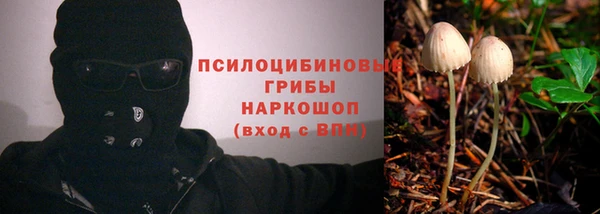 бутират Гусев