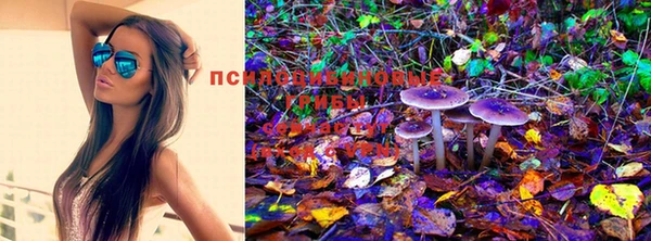 соль ск Гусь-Хрустальный