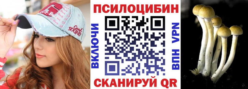 Купить  Новопавловск  Псилоцибиновые грибы Psilocybine cubensis 