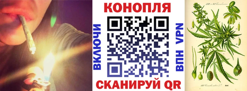 Купить закладки  Новопавловск  Бошки марихуана индика 